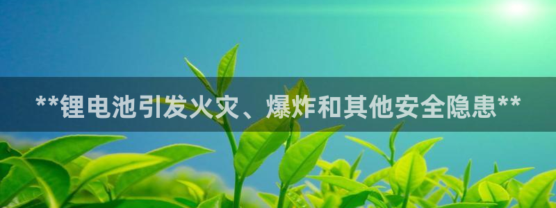 尊龙d88平台登录：**锂电池引发火灾、爆炸和其他安全隐患**